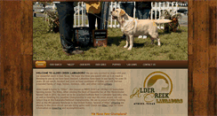Desktop Screenshot of aldercreeklabradors.com